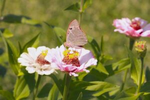 دنیای درون عکاسی