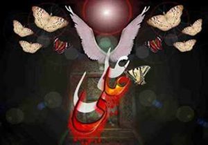 ضربت خوردن امام علی ع